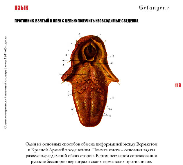 ЯЗЫК. Противник, взятый в плен с целью получить необходимые сведения.